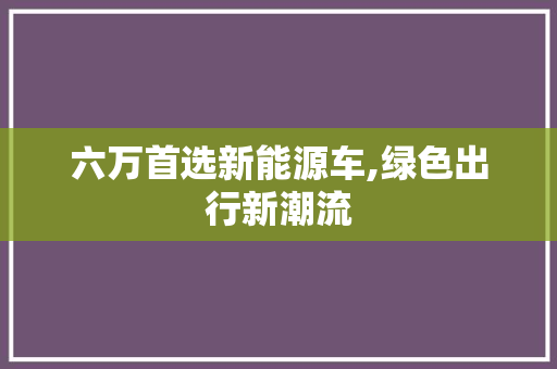 六万首选新能源车,绿色出行新潮流