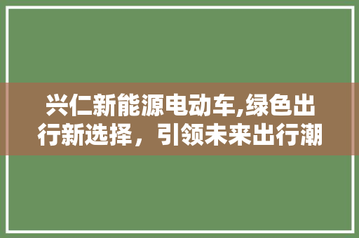 兴仁新能源电动车,绿色出行新选择，引领未来出行潮流