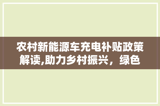 农村新能源车充电补贴政策解读,助力乡村振兴，绿色出行新篇章