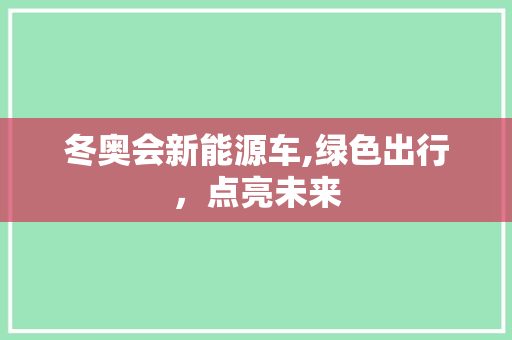 冬奥会新能源车,绿色出行，点亮未来