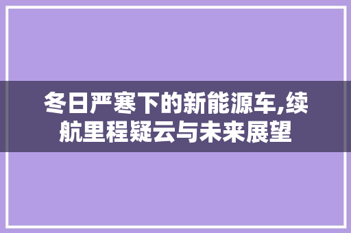 冬日严寒下的新能源车,续航里程疑云与未来展望