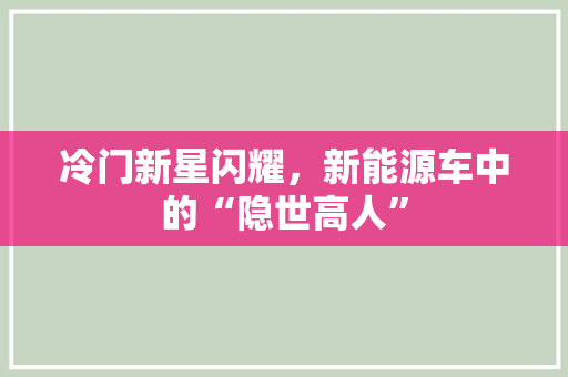 冷门新星闪耀，新能源车中的“隐世高人”