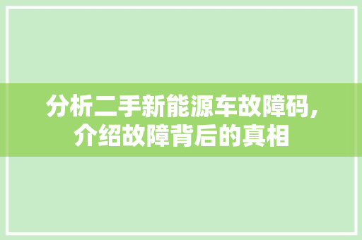 分析二手新能源车故障码,介绍故障背后的真相