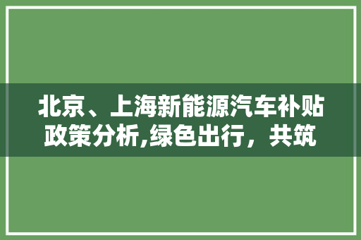北京、上海新能源汽车补贴政策分析,绿色出行，共筑未来