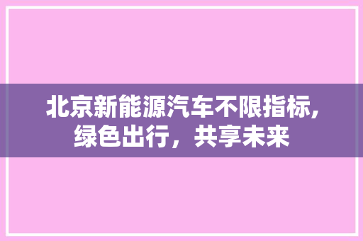 北京新能源汽车不限指标,绿色出行，共享未来