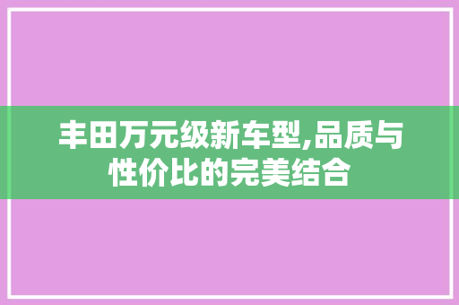 丰田万元级新车型,品质与性价比的完美结合