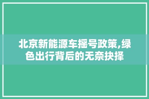 北京新能源车摇号政策,绿色出行背后的无奈抉择
