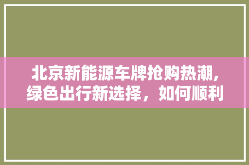 北京新能源车牌抢购热潮,绿色出行新选择，如何顺利上牌