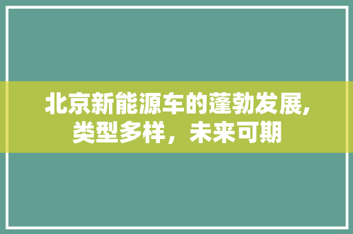 北京新能源车的蓬勃发展,类型多样，未来可期