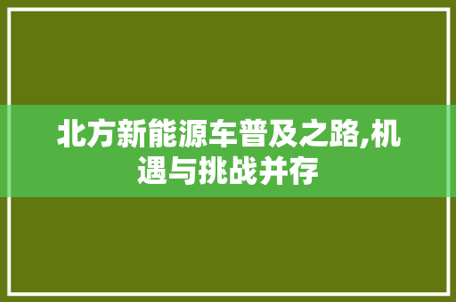 北方新能源车普及之路,机遇与挑战并存