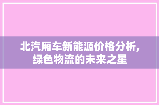 北汽厢车新能源价格分析,绿色物流的未来之星