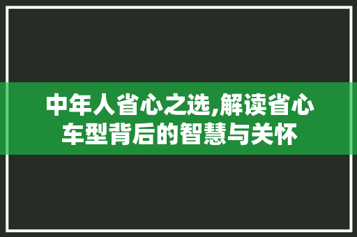 中年人省心之选,解读省心车型背后的智慧与关怀