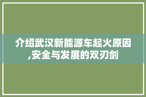 介绍武汉新能源车起火原因,安全与发展的双刃剑