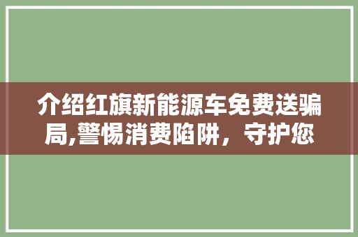 介绍红旗新能源车免费送骗局,警惕消费陷阱，守护您的财产安全