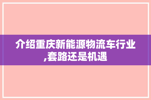 介绍重庆新能源物流车行业,套路还是机遇