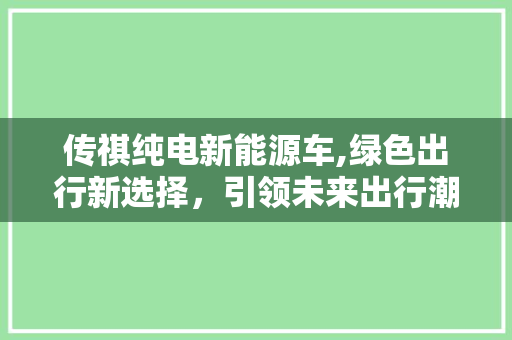 传祺纯电新能源车,绿色出行新选择，引领未来出行潮流