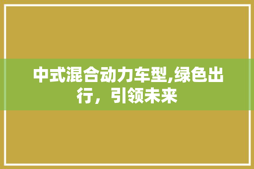 中式混合动力车型,绿色出行，引领未来