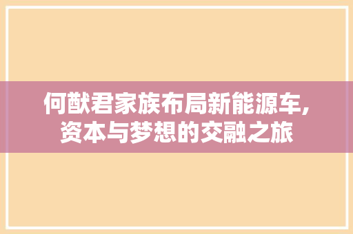 何猷君家族布局新能源车,资本与梦想的交融之旅