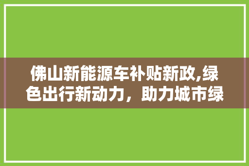 佛山新能源车补贴新政,绿色出行新动力，助力城市绿色发展
