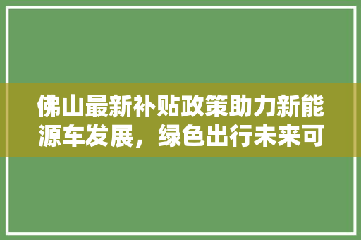 佛山最新补贴政策助力新能源车发展，绿色出行未来可期