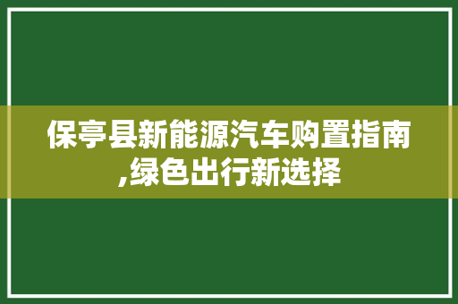 保亭县新能源汽车购置指南,绿色出行新选择