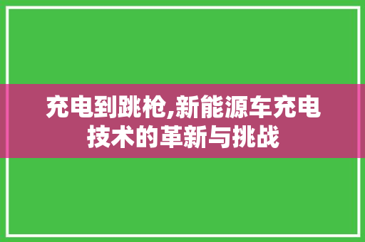 充电到跳枪,新能源车充电技术的革新与挑战