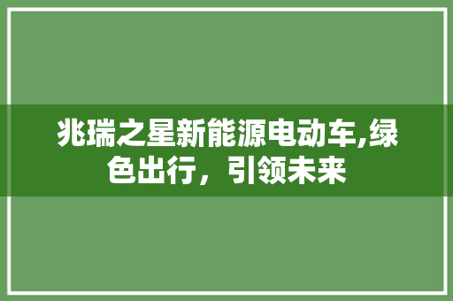 兆瑞之星新能源电动车,绿色出行，引领未来