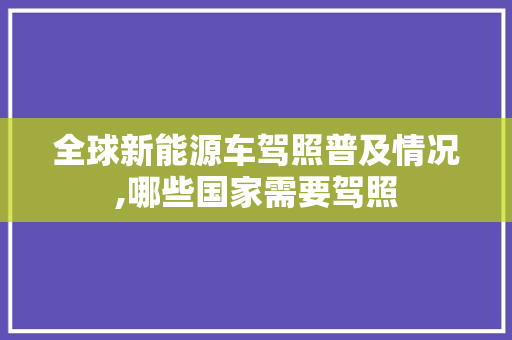 全球新能源车驾照普及情况,哪些国家需要驾照