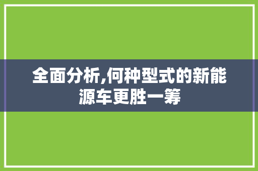 全面分析,何种型式的新能源车更胜一筹