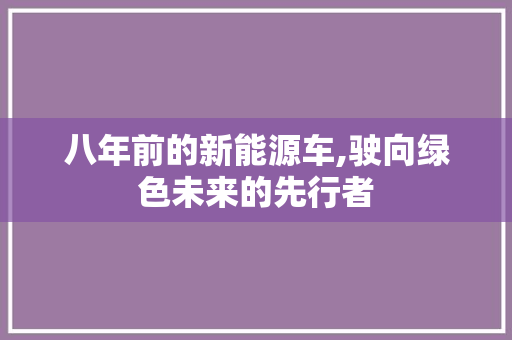 八年前的新能源车,驶向绿色未来的先行者