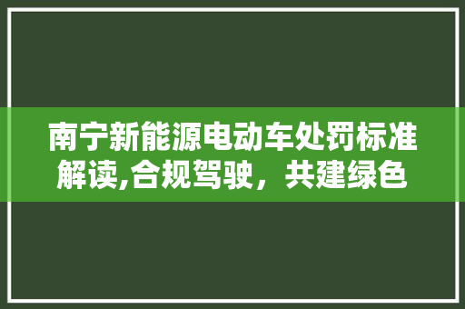 南宁新能源电动车处罚标准解读,合规驾驶，共建绿色出行新风尚