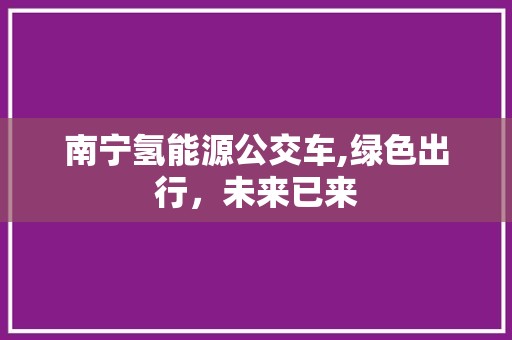 南宁氢能源公交车,绿色出行，未来已来