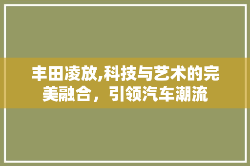 丰田凌放,科技与艺术的完美融合，引领汽车潮流