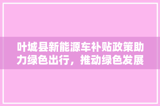 叶城县新能源车补贴政策助力绿色出行，推动绿色发展新篇章