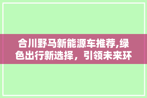合川野马新能源车推荐,绿色出行新选择，引领未来环保潮流