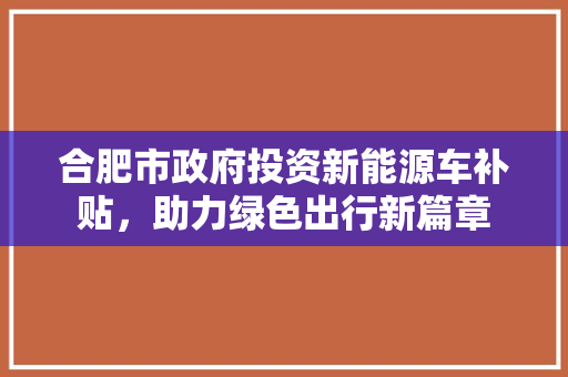 合肥市政府投资新能源车补贴，助力绿色出行新篇章