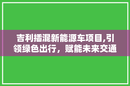 吉利插混新能源车项目,引领绿色出行，赋能未来交通