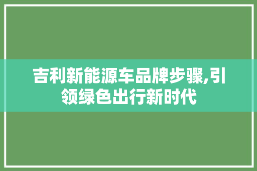 吉利新能源车品牌步骤,引领绿色出行新时代
