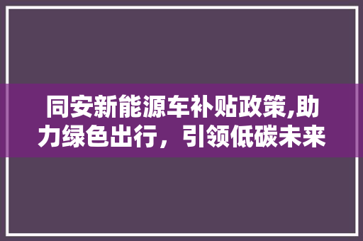 同安新能源车补贴政策,助力绿色出行，引领低碳未来