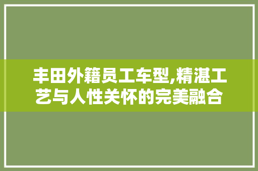 丰田外籍员工车型,精湛工艺与人性关怀的完美融合