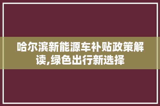 哈尔滨新能源车补贴政策解读,绿色出行新选择