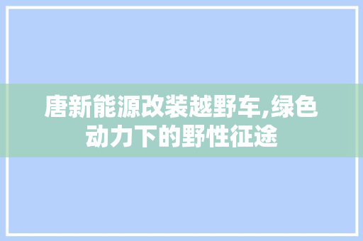 唐新能源改装越野车,绿色动力下的野性征途