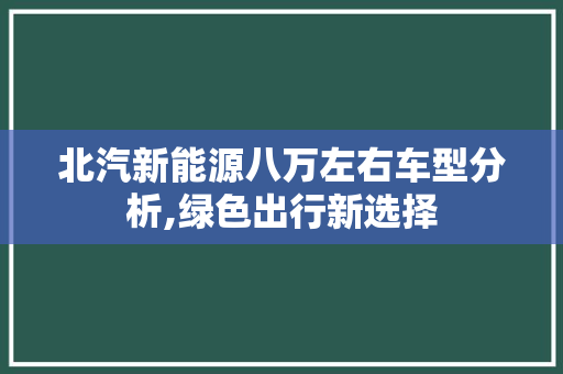 北汽新能源八万左右车型分析,绿色出行新选择
