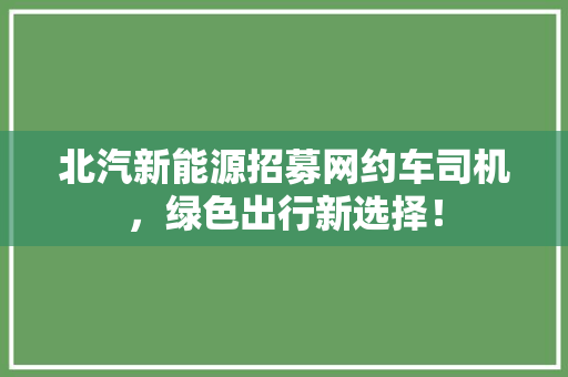北汽新能源招募网约车司机，绿色出行新选择！