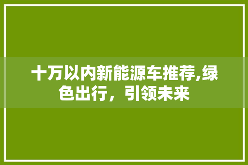 十万以内新能源车推荐,绿色出行，引领未来