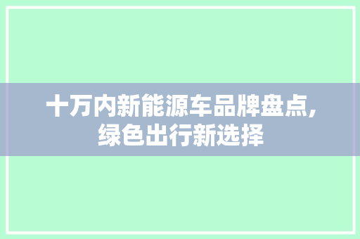 十万内新能源车品牌盘点,绿色出行新选择