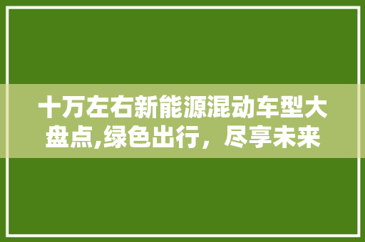 十万左右新能源混动车型大盘点,绿色出行，尽享未来科技