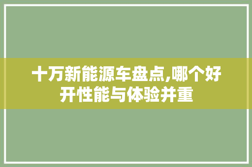 十万新能源车盘点,哪个好开性能与体验并重