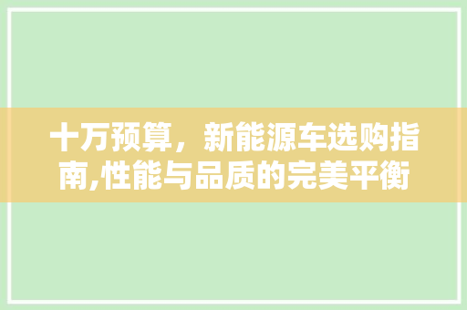 十万预算，新能源车选购指南,性能与品质的完美平衡