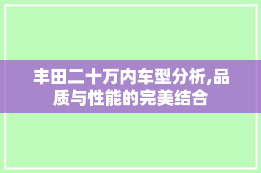 丰田二十万内车型分析,品质与性能的完美结合